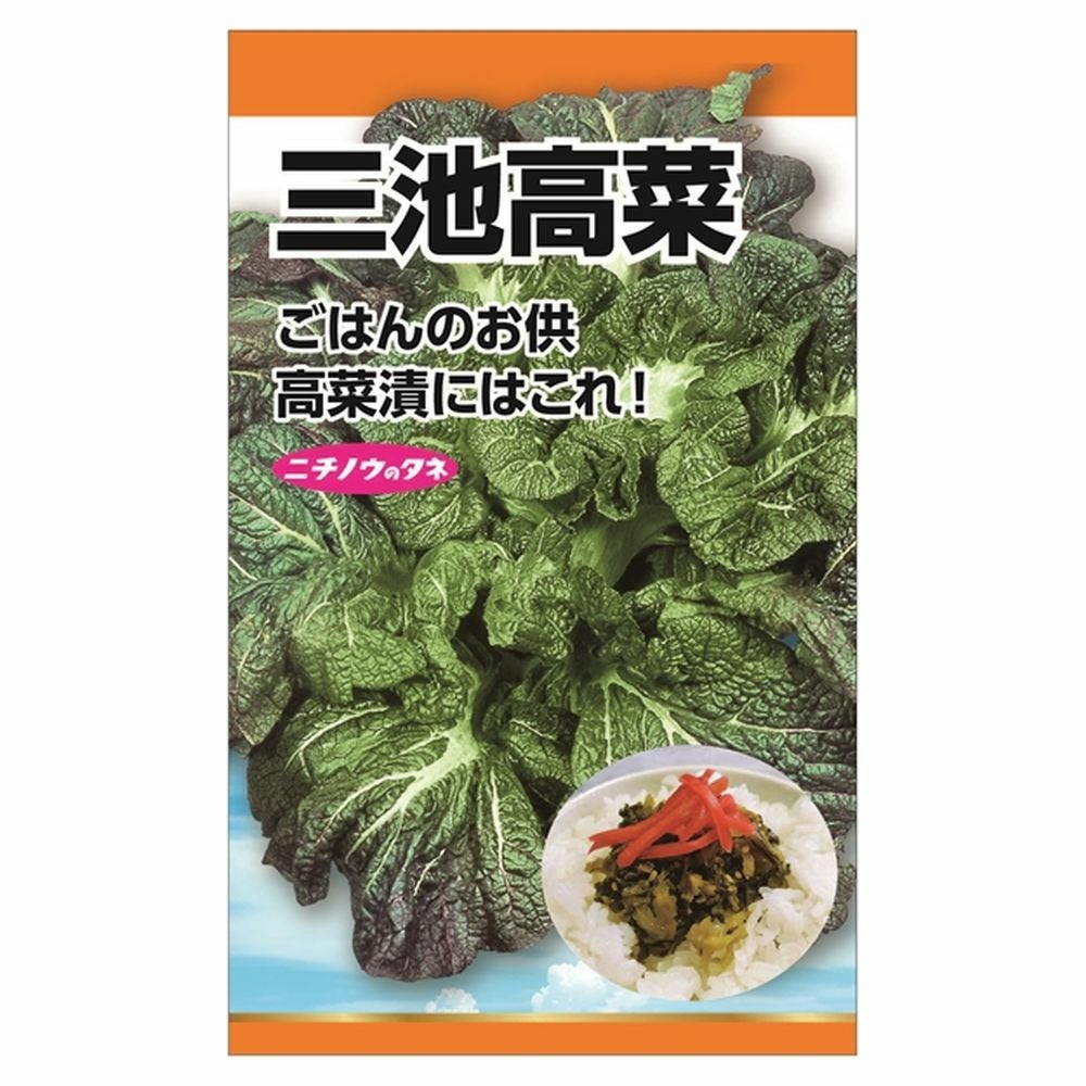 000000090402-01.jpg?size=m&w=