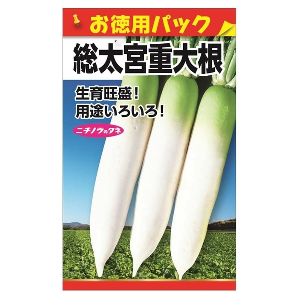 大根 【青首宮重大根(お徳用パック)】 種・小袋 （30ml） 固定種