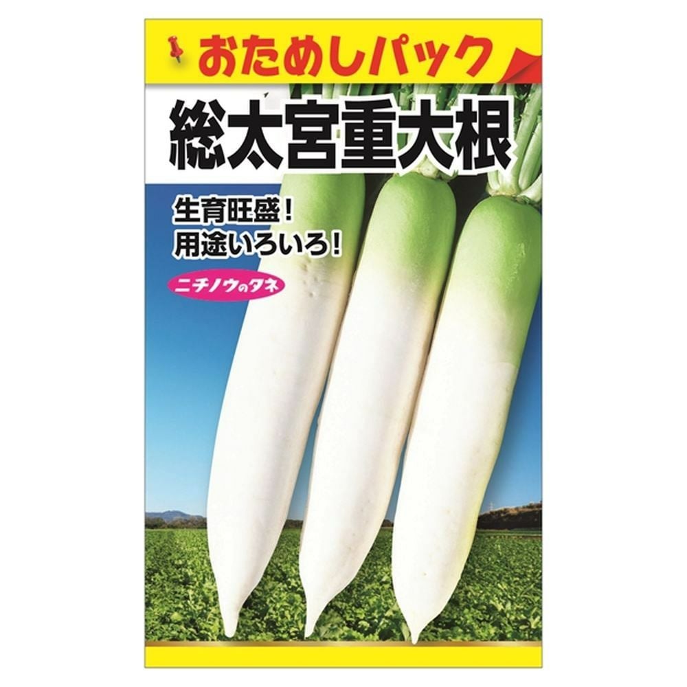 大根 総太宮重大根の販売 苗木部 By 花ひろばオンライン