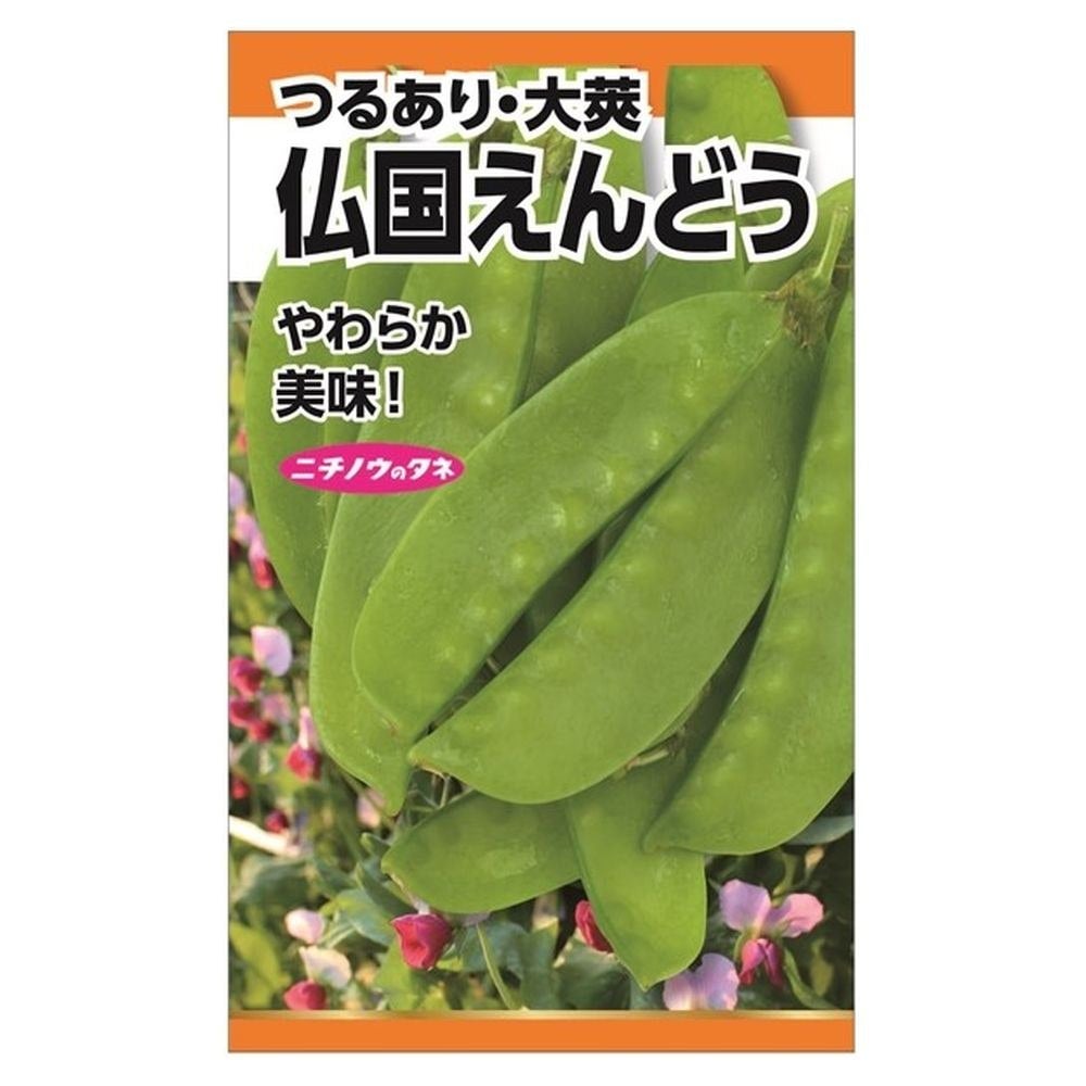 えんどう 赤花絹さやえんどう(つるあり) 苗 販売 苗木部 By 花ひろば