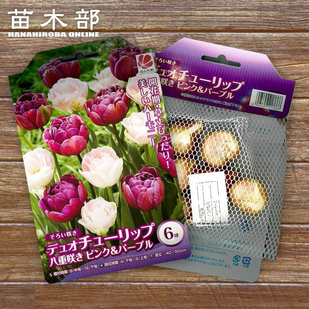 000000090912-01.jpg?size=l&w=