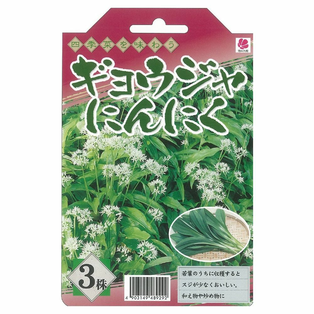 行者にんにく 苗 通販 苗木部 By 花ひろばオンライン