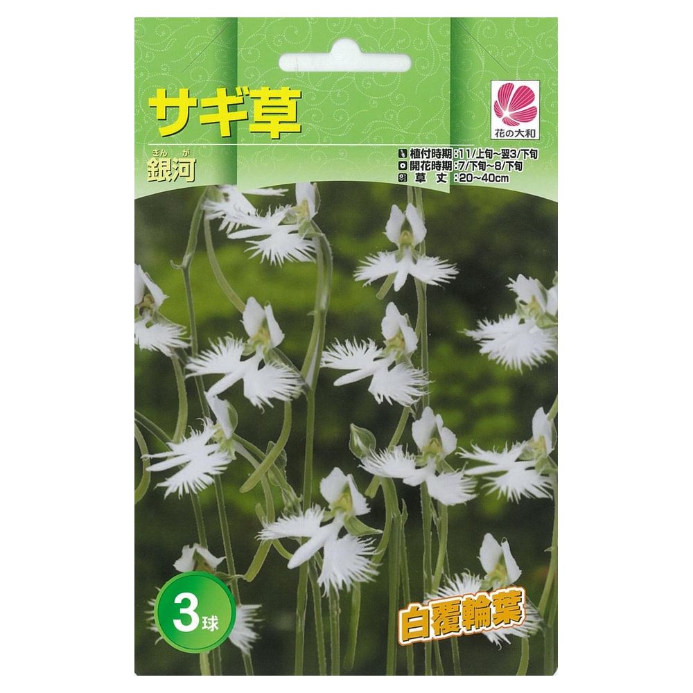 サギソウ 球根 500個以上 000000001693_OdNupJt.jpg
