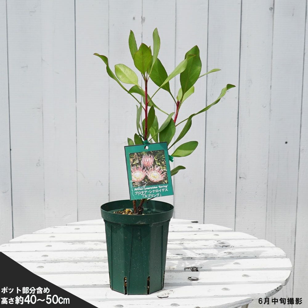 000000091299-03.jpg?size=l&w=