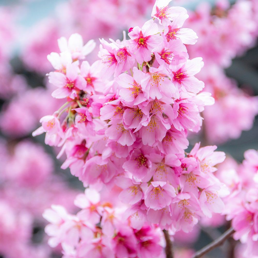 000000091825-06.jpg?size=l&w=