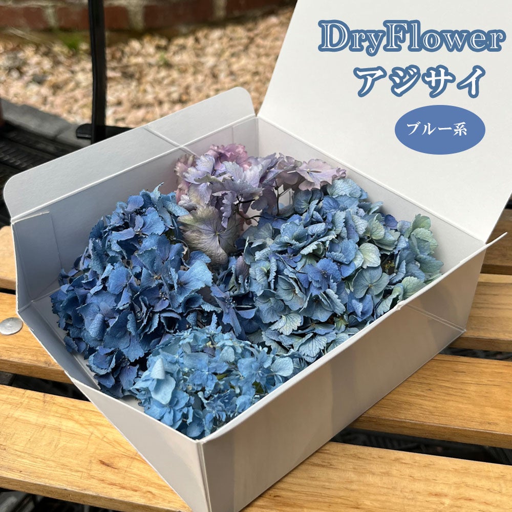 000000092201-01.jpg?size=m&w=