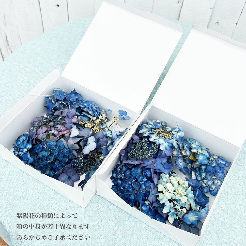 000000092201-02.jpg?size=l&w=