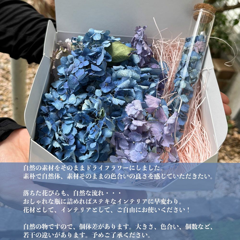 ドライフラワー 【アジサイ ブルー系】 おしゃれボトルセット ドライ
