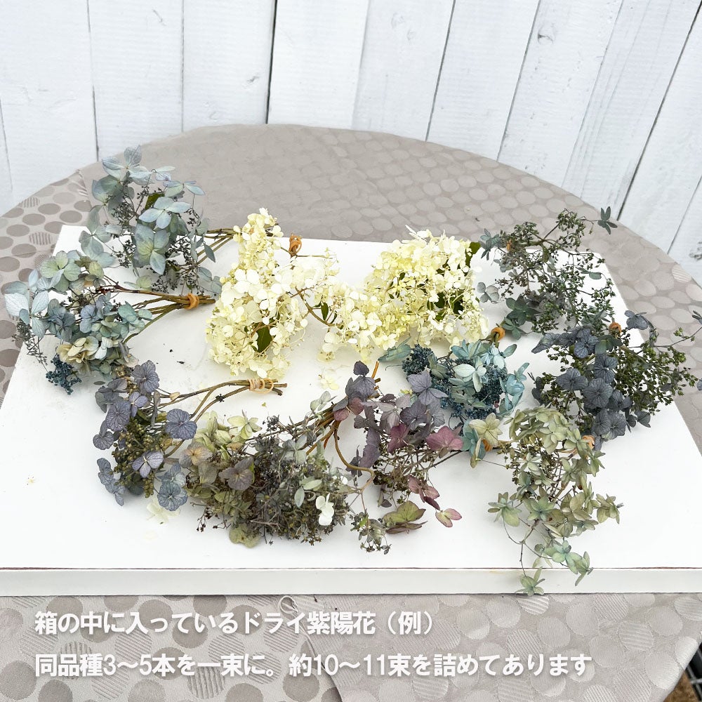 000000092675-02.jpg?size=l&w=