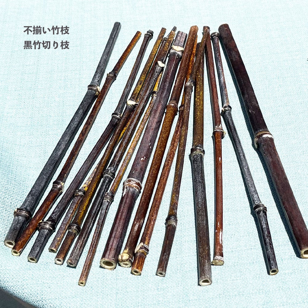 000000093033-01.jpg?size=m&w= 000000093033-01.jpg?size=m&w=
