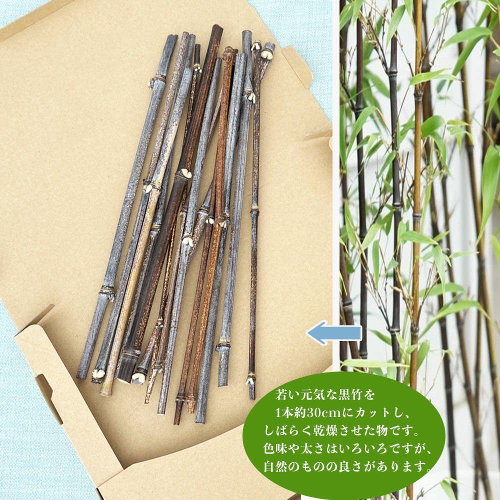 000000093033-02.jpg?size=l&w=