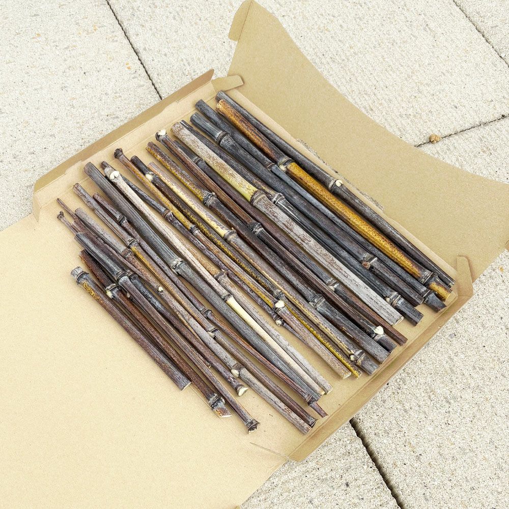 ドライ 【黒竹 （クロチク） 不揃い竹枝一束】 不揃いバラ売り一束 約