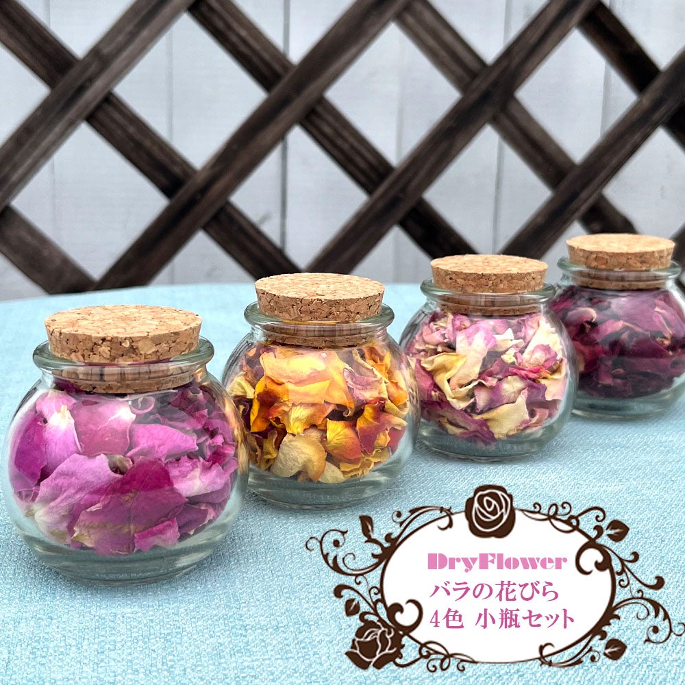 【生活の木】容器・瓶 などのセット バラ売り不可 000000093361-01.jpg?size=l&w=