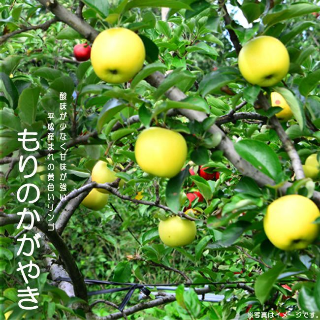 000000093855-01.jpg?size=l&w=