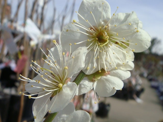 000000093863-01.jpg?size=l&w=