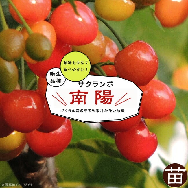 000000093864-01.jpg?size=m&w=