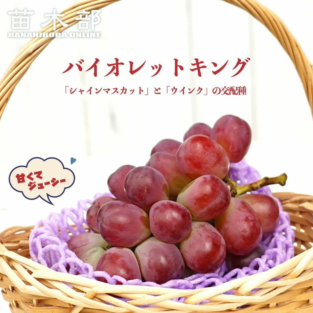 000000094053-01.jpg?size=m&w=