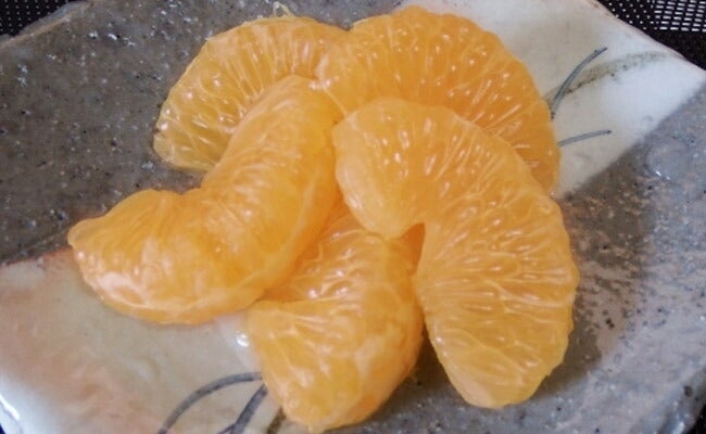 柑橘 雑柑類 紅甘夏の販売 苗木部 By 花ひろばオンライン