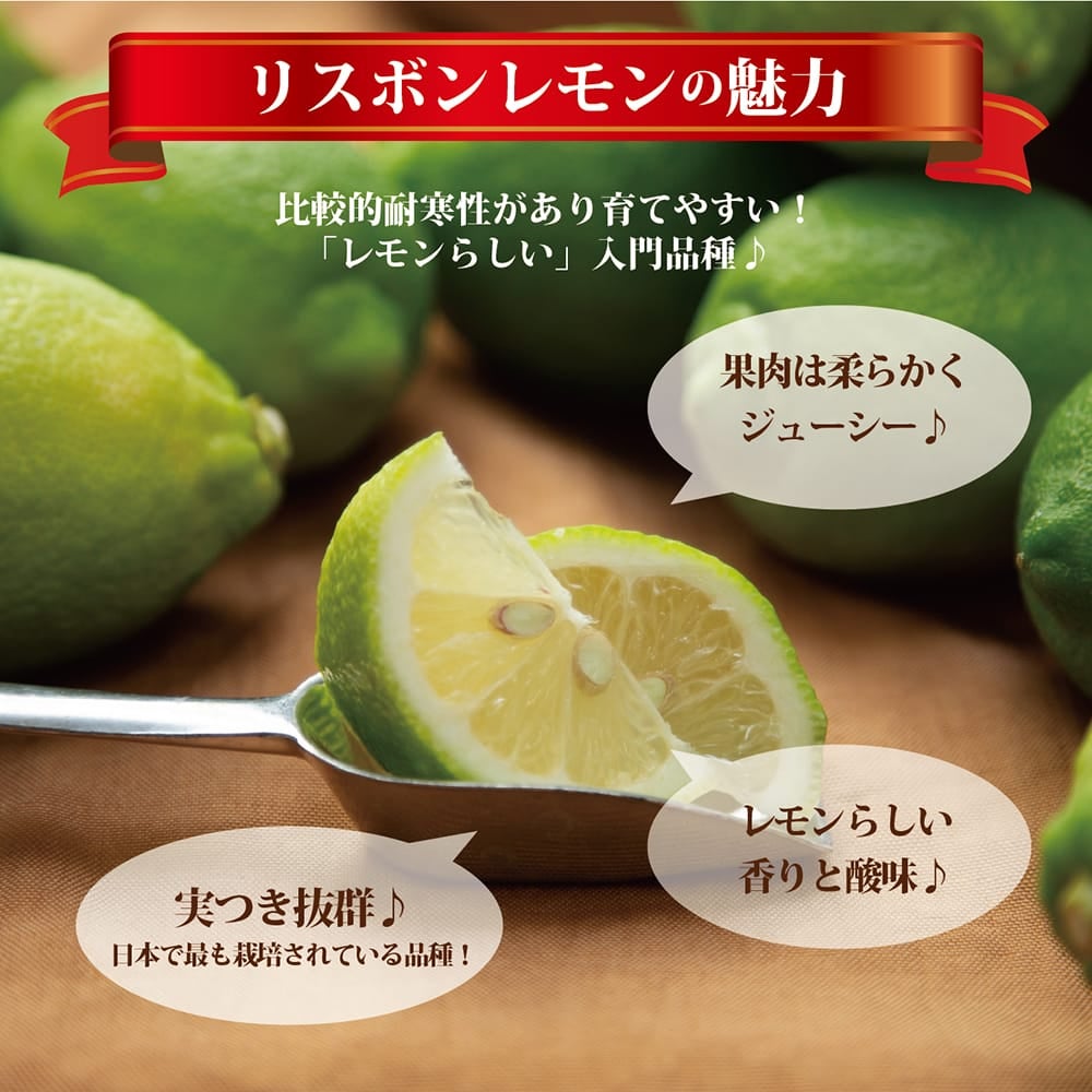 000000094412-02.jpg?size=l&w=