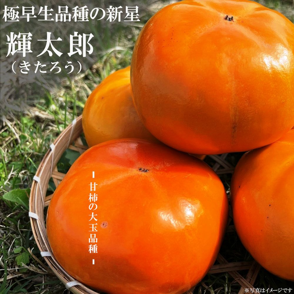 000000094524-01.jpg?size=l&w=