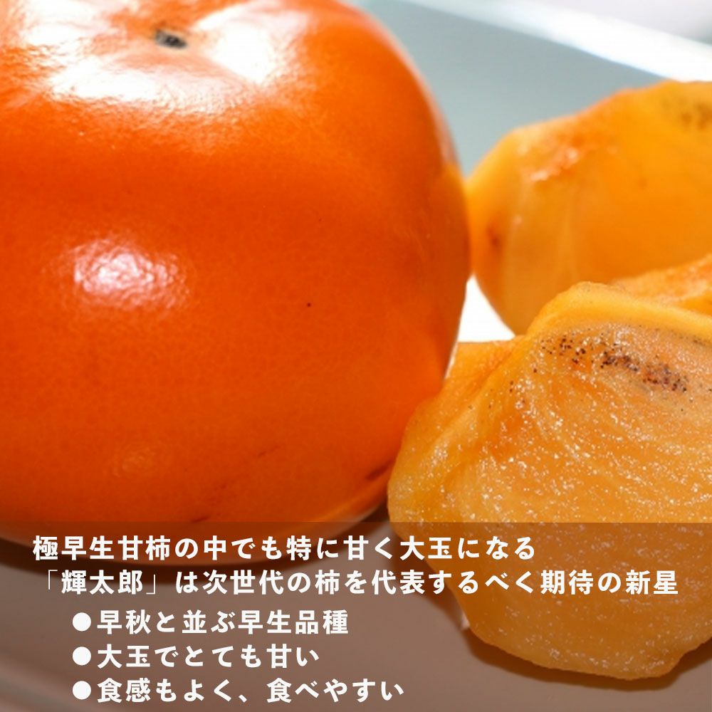 000000094524-02.jpg?size=l&w=