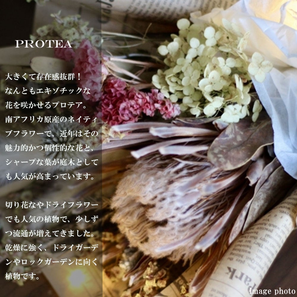 000000095375-06.jpg?size=l&w=