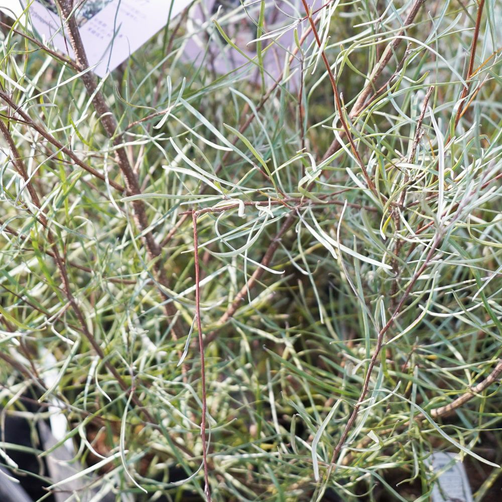 000000095376-03.jpg?size=l&w=