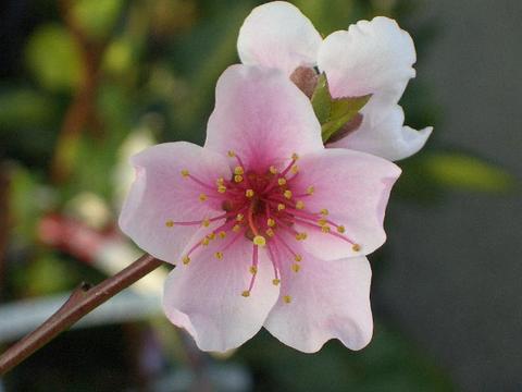 000000095440-03.jpg?size=l&w=