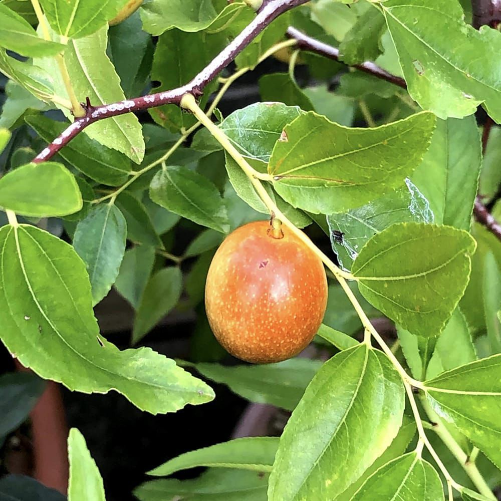 000000095567-02.jpg?size=l&w=