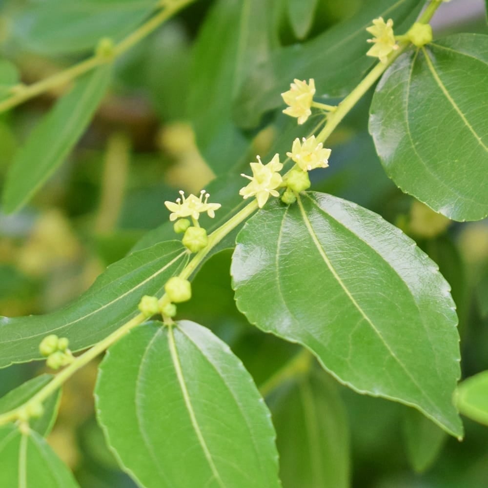 000000095567-03.jpg?size=l&w=