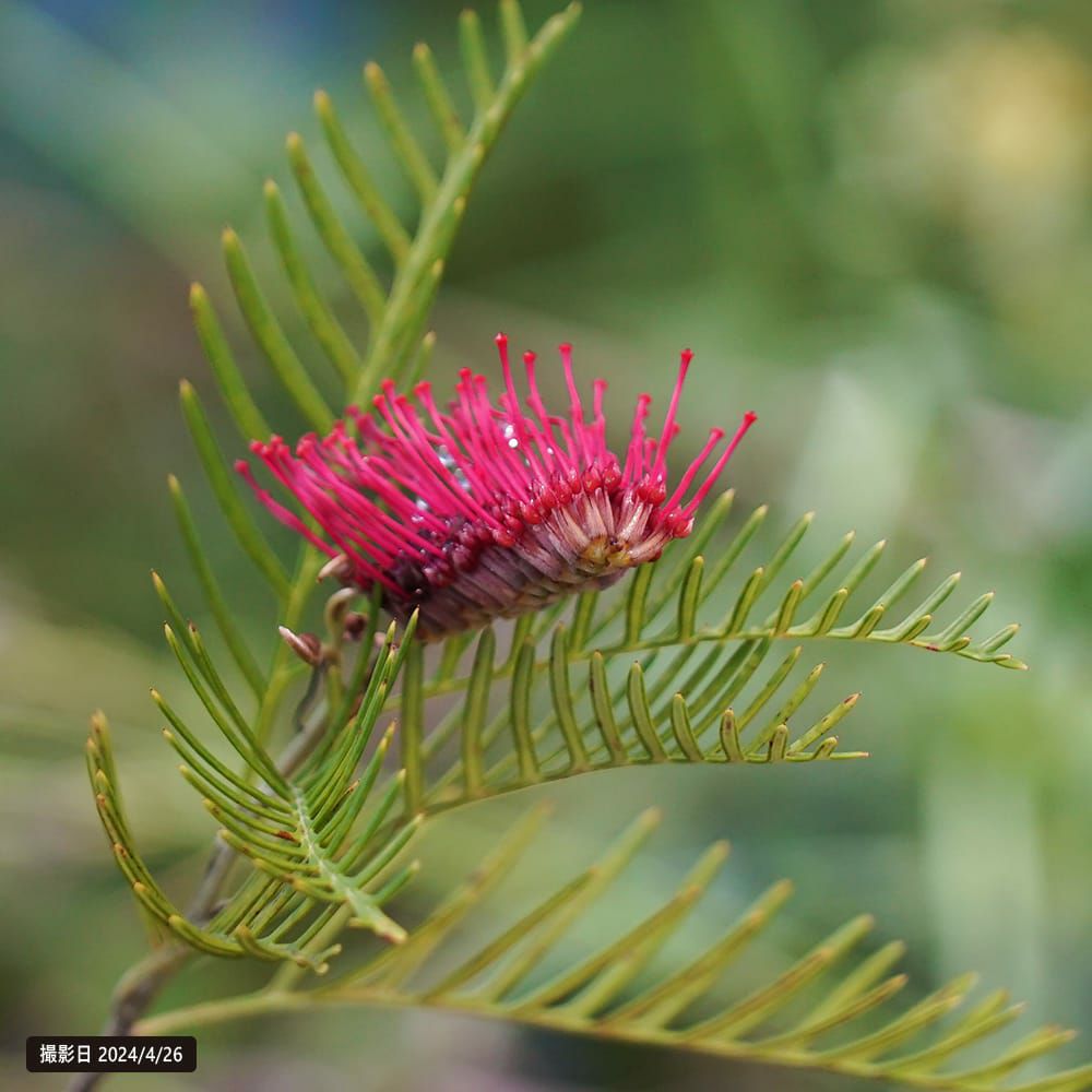 000000095635-02.jpg?size=l&w=