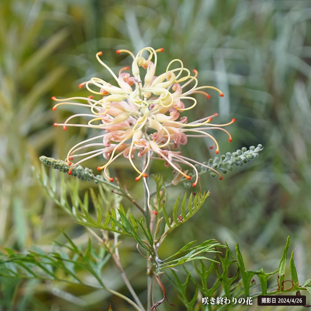 000000095636-05.jpg?size=l&w=