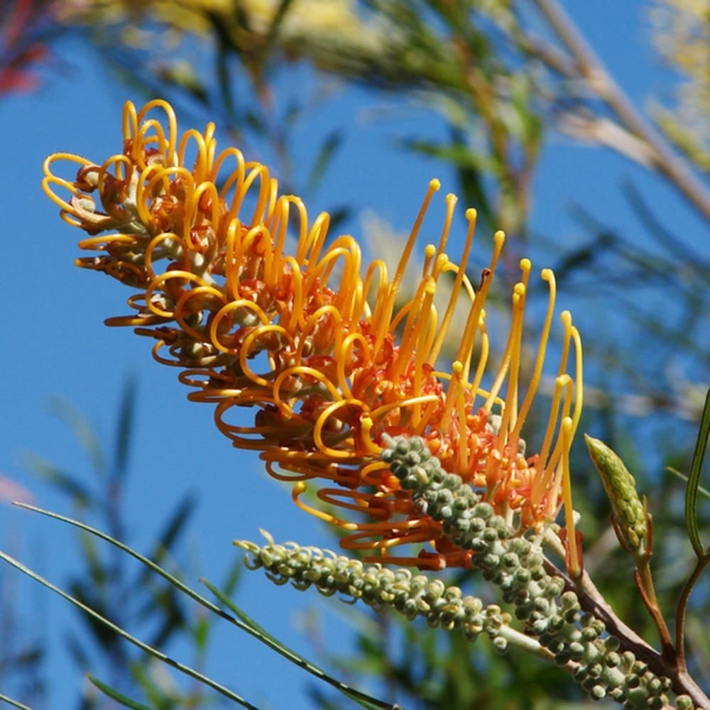 000000095638-02.jpg?size=l&w=