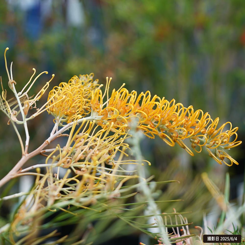 000000095638-06.jpg?size=l&w=