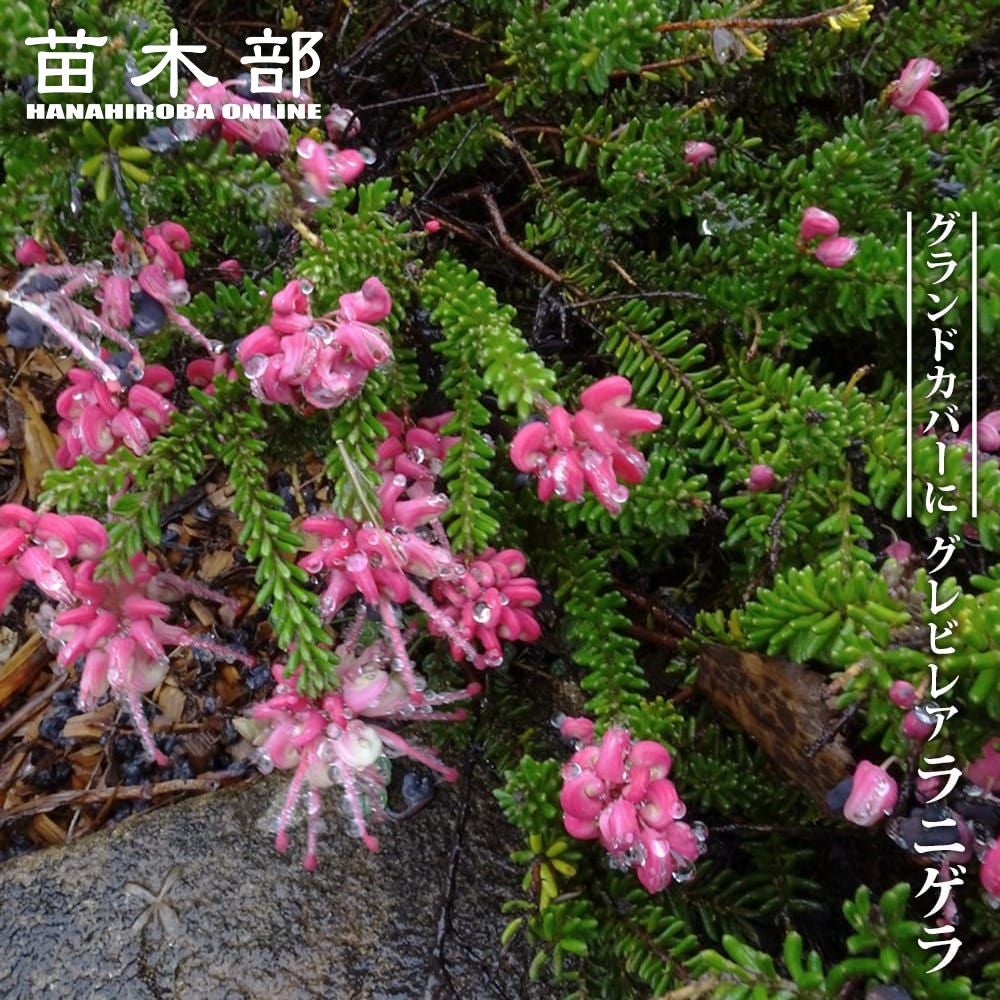 000000095641-01.jpg?size=m&w=