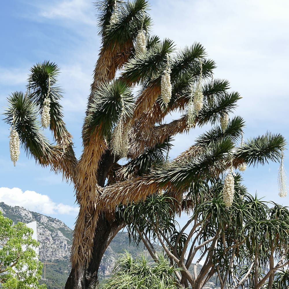 000000096098-04.jpg?size=l&w=