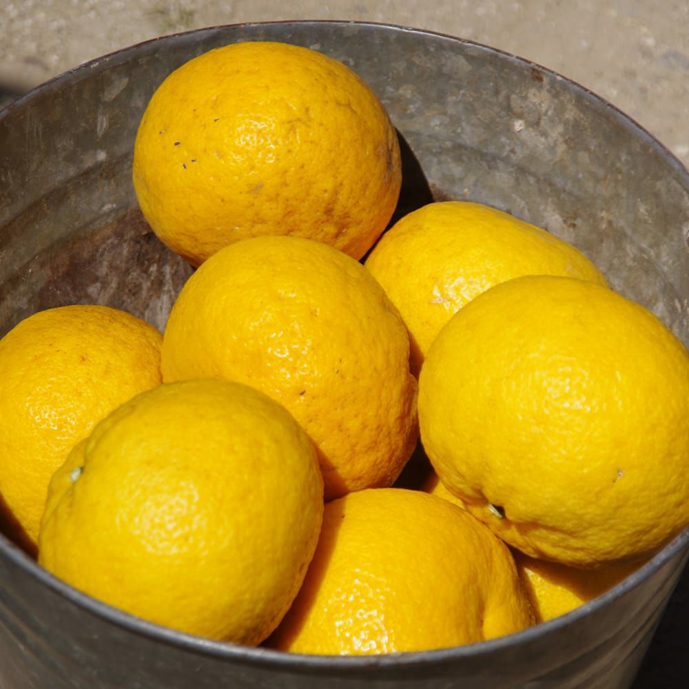 000000096673-02.jpg?size=l&w=