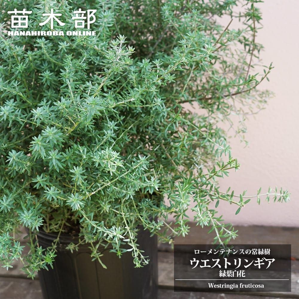 000000096881-01.jpg?size=m&w=