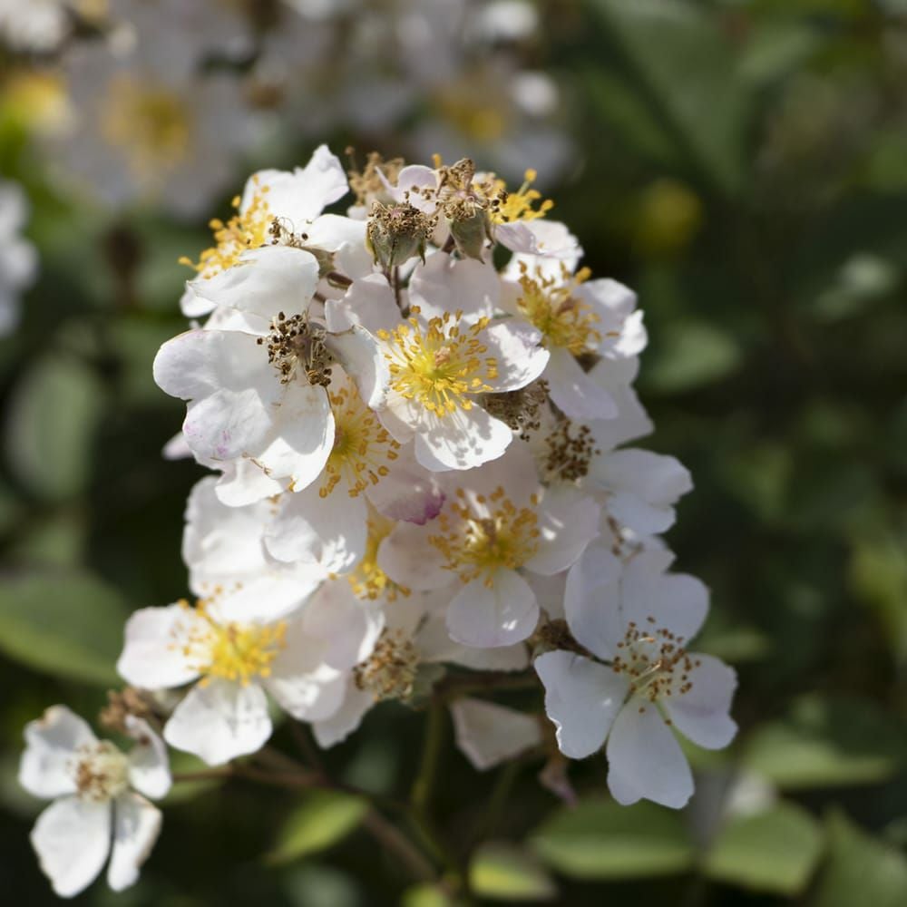 000000098811-02.jpg?size=l&w=